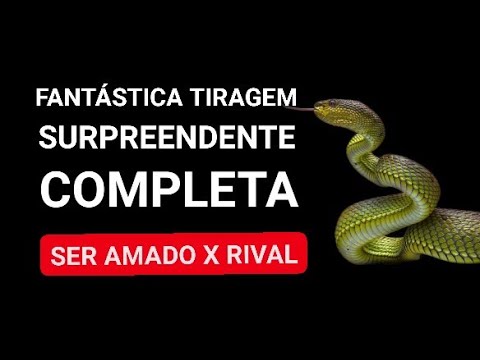 Read more about the article FANTÁSTICA TIRAGEM SURPREENDENTE COMPLETA – SER AMADO X RIVAL