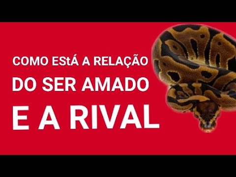 Read more about the article 💣👀 Como está a RELAÇÃO do SER AMADO e a RIVAL