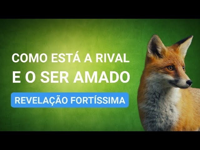 Read more about the article 🦊 COMO está a RIVAL e o SER AMADO [ REVELAÇÃO FORTÍSSIMA ]