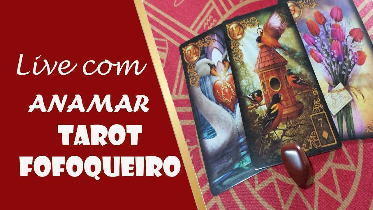 Read more about the article 🔥 Live com ANAMAR TAROT FOFOQUEIRO 🍀  |  TAROT  RESPONDE ⭐ → (TERÇA)  01/11/2022