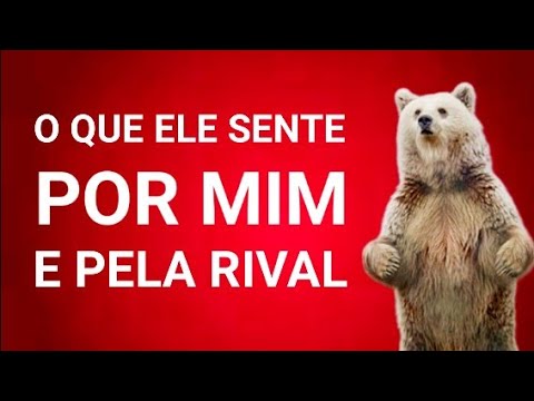 Read more about the article 🚨 O que ele SENTE por MIM e pela RIVAL? ((( você vai descobrir tudo agora )))