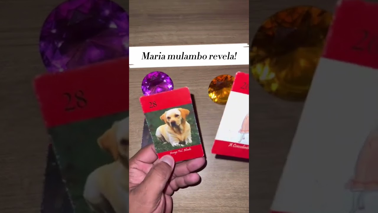 Read more about the article ☀️ Revelação da Maria Mulambo! 🕯️ #SHORTS 🌟 TAROT DE HOJE! 🌟 TAROT RESPONDE!