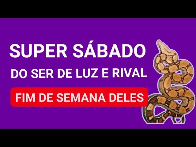 Read more about the article 🔥 SUPER SÁBADO do SER DE LUZ e RIVAL !!! COMO está sendo o FIM de SEMANA deles ? Vamos Descobrir !!!