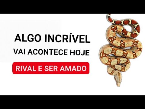 Read more about the article ALGO INCRÍVEL VAI ACONTECE HOJE | RIVAL E SER AMADO