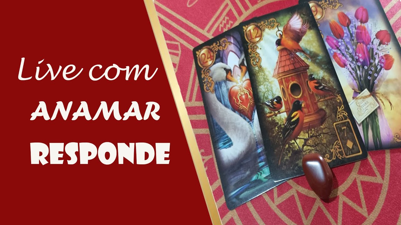 Read more about the article ⭐Live com ANAMAR RESPONDE  🔥 | 😍 TAROT FOFOQUEIRO🍀 → (QUARTA)  09/11/2022