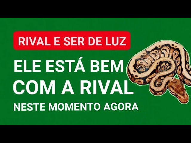 Read more about the article EITHA 💥💣  RIVAL e SER DE LUZ 💣💥  Ele está BEM com a RIVAL neste MOMENTO AGORA ( Leitura Forte )