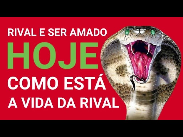 Read more about the article RIVAL e SER AMADO HOJE : COMO ESTÁ A VIDA DA RIVAL ((( LEITURA PERFEITA )))