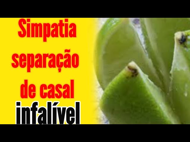 Read more about the article SIMPATIA DO LIMÃO… Para causar brigas, desunião, esfriamento da relação 🌟