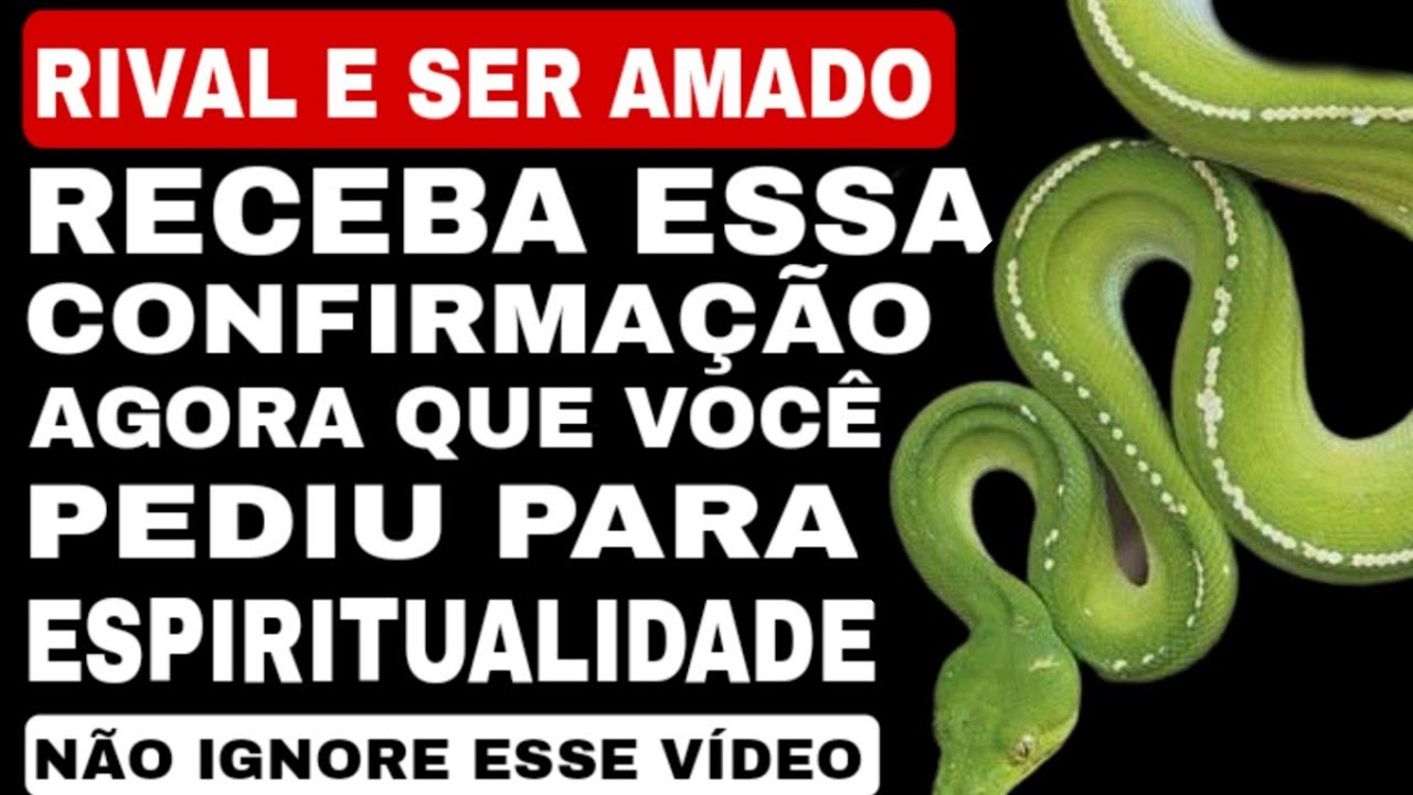 Read more about the article 😱 E MUITO FORTE 🚫 RECEBA A CONFIRMAÇÃO QUE VOCÊ PEDIU SOBRE SER AMADO E RIVAL – ELE E A OUTRA TAROT