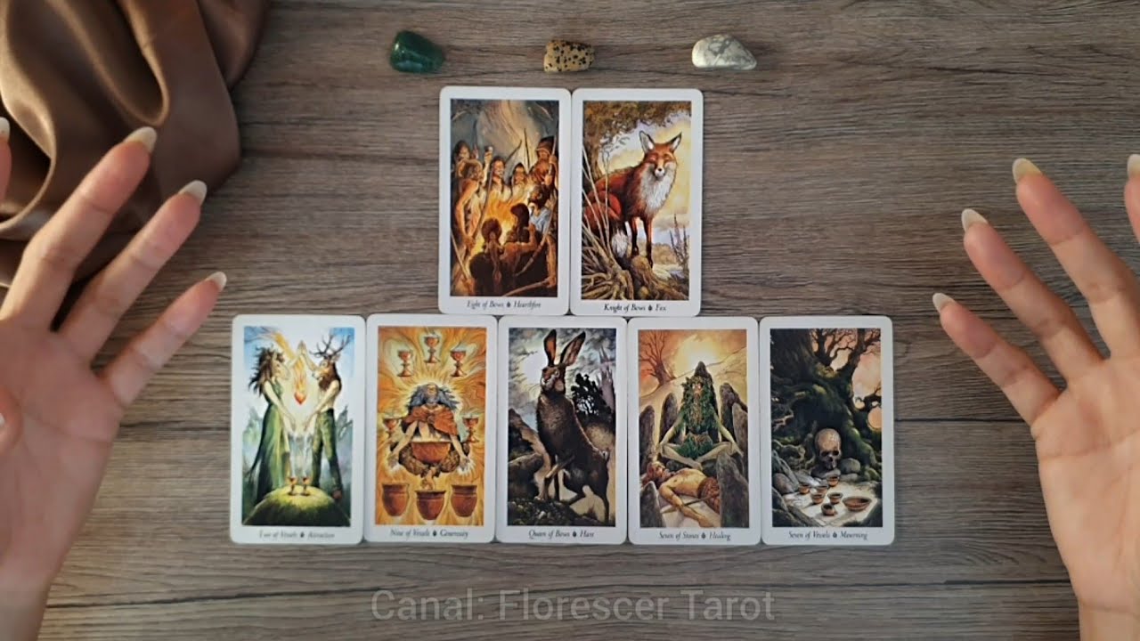 Read more about the article 🔴 POR QUE ELE(A) APARECEU NOS SEUS CAMINHOS? | Tarot Responde