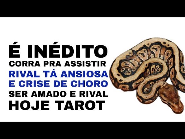 Read more about the article 😳  [ RIVAL TÁ ANSIOSA E CRISE DE CHORO ]  SER AMADO E RIVAL (((  ELE E A OUTRA PESSOA HOJE TAROT )))