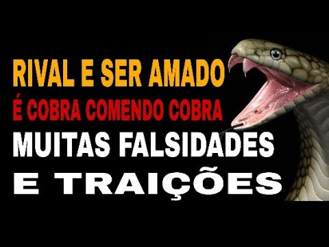 Read more about the article 🐍 RIVAL TÁ NO DESERTO ! VIVE UM VERDADEIRO ABISMO – É COBRA COMENDO COBRA -( ELE E A OUTRA TAROT )