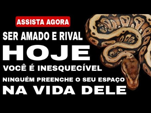 Read more about the article 🚨 [ RIVAL TÁ SURTADA ] VC É INESQUECÍVEL PARA O SER AMADO ! NINGUÉM CONSEGUE PREENCHER O SEU ESPAÇO!