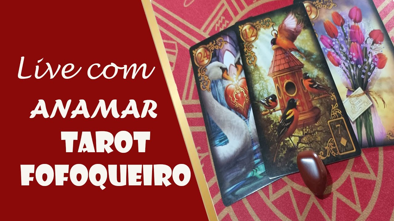 Read more about the article 🚨 TAROT FOFOQUEIRO🍀 | 💞 TAROT  DE HOJE⭐ → (DOMINGO) 15/01/2023