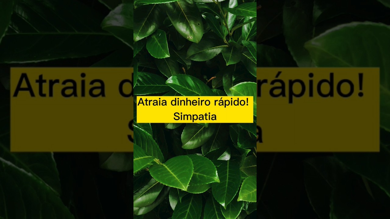 Read more about the article Atraia dinheiro rápido. Simpatia! #shorts #simpatia #magia #dinheirorápido