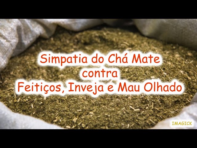 Read more about the article Simpatia do Chá Mate contra Feitiços, Inveja e Mau Olhado   Simpatias Psicoativas