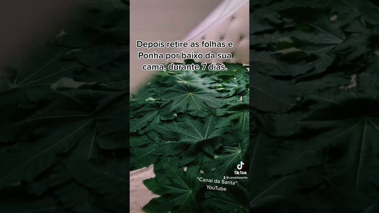 Read more about the article Simpatia para a cura de enfermidades