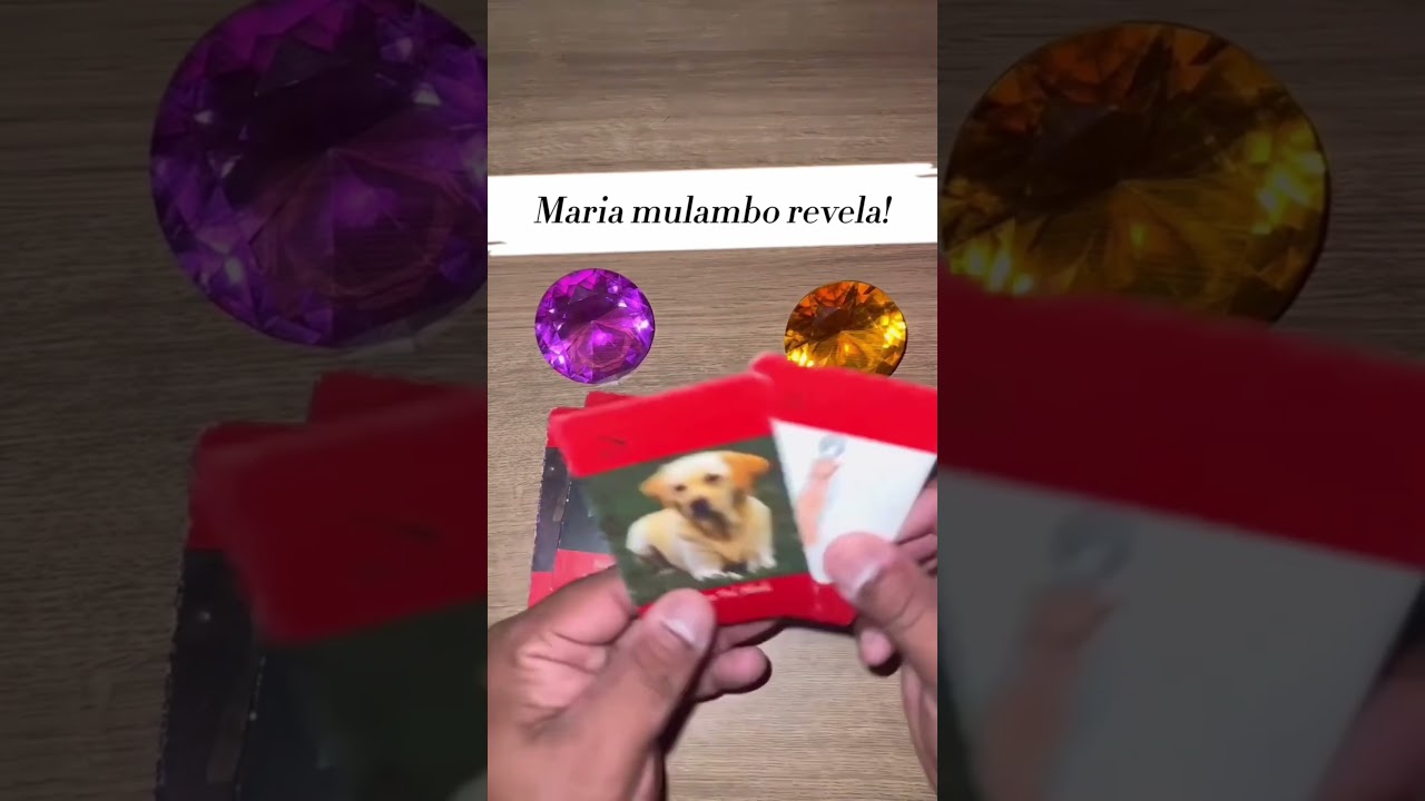 Read more about the article 💛 ESSA REVELAÇÃO VAI IMPACTAR SEU DIA! 💛 #SHORTS EM ALTA 🌟 TAROT DE HOJE! 🌟 TAROT RESPONDE