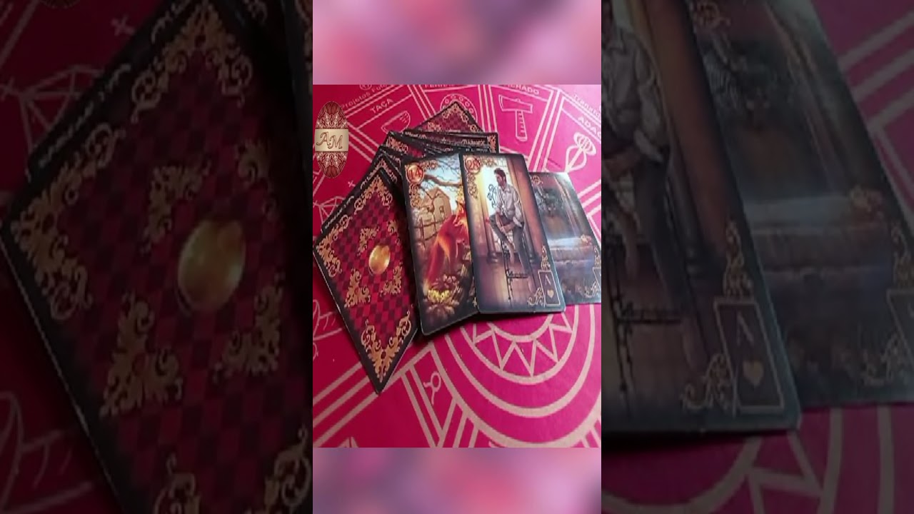 Read more about the article REVELAÇÕES  DOS ANJOS  👼🏻 – Tarot De Hoje 🍀 #shorts