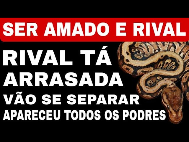 Read more about the article 🤮RIVAL FALSA TÁ PREOCUPADA ! VÃO SEPARAR ! PREPAROU  ESTRATÉGIA , MAS PASSA VERGONHA ! Tarot de Hoje