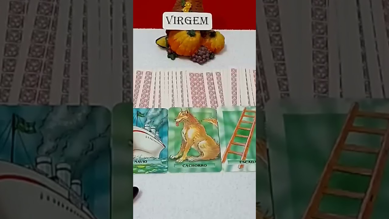 Read more about the article Virgem Horóscopo do dia 04/02/2023 #maryfuturoimediatto #previsões #signos