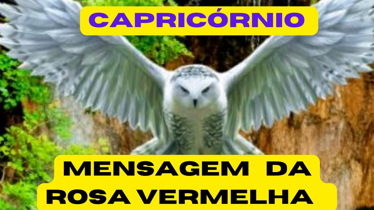 Read more about the article CAPRICÓRNIO 🌹MENSAGEM DO DIA! #signos #horóscopo #baralhocigano #tarot