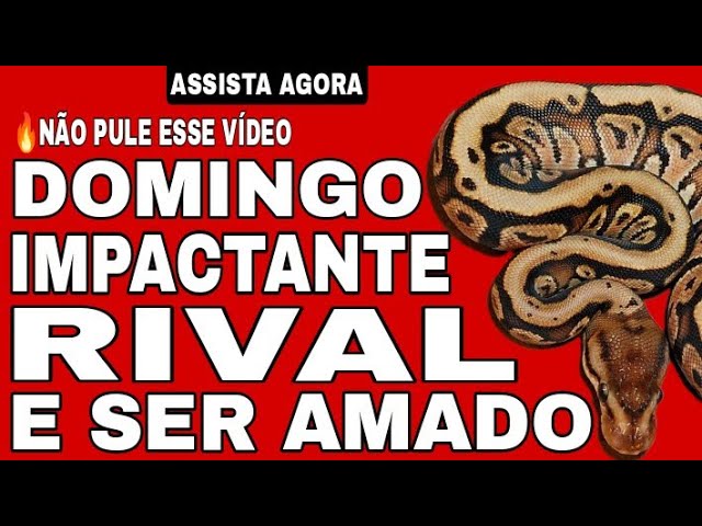 Read more about the article 😱 DOMINGO IMPACTANTE RIVAL E SER AMADO ( ELE E A OUTRA TAROT ) – BARALHO CIGANO RESPONDE HOJE