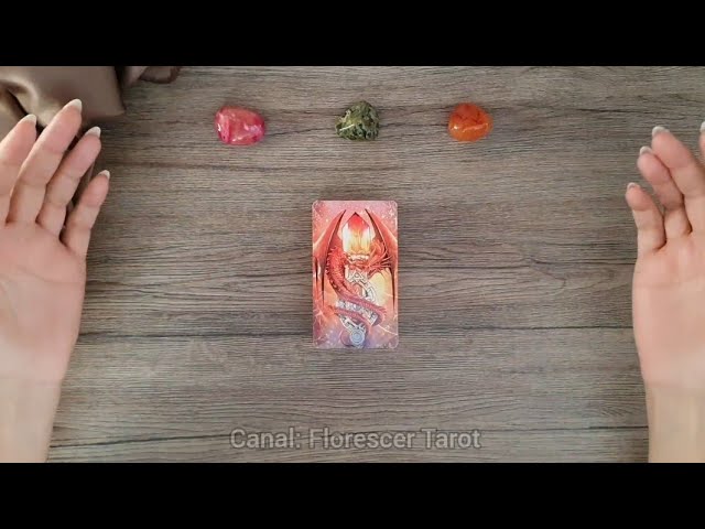 Read more about the article 🔴 O QUE VOCÊ SIGNIFICA PRA ELE(A)? | Tarot