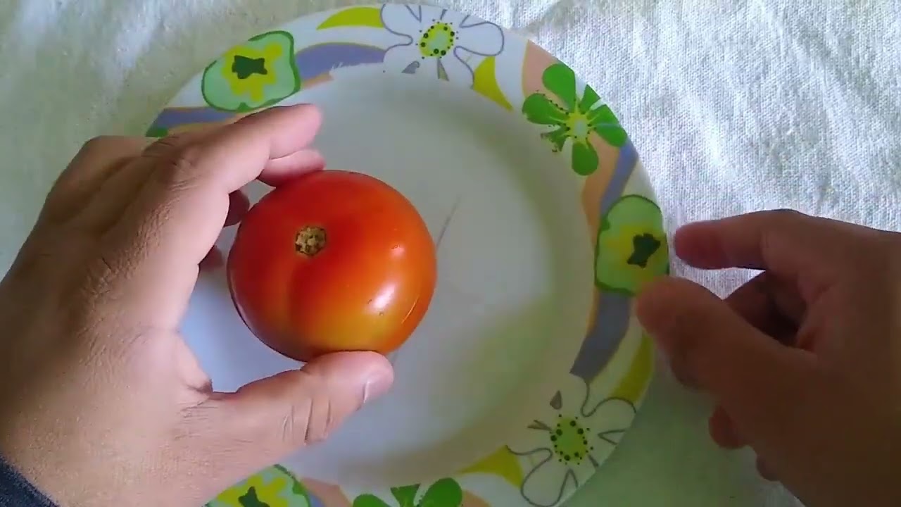 Read more about the article A simpatia do tomate para ele me procurar apaixonado e se arrepender amargamente por tudo que me fez