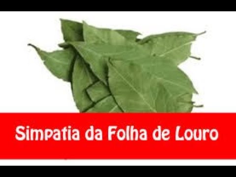 Read more about the article SIMPATIA DA FOLHA DE LOURO PARA TRAZER SEU AMOR DE VOLTA