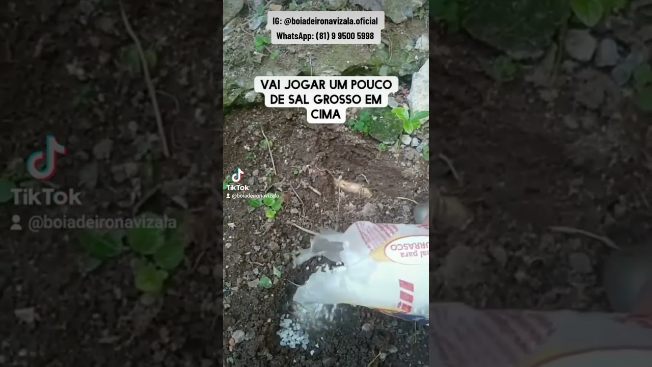 Read more about the article Vício (Parar de Beber) – Simpatia 🌿