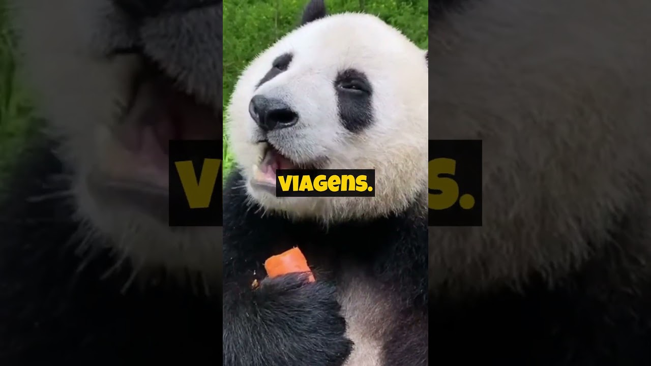 Read more about the article SIMPATIAS QUE VOCÊ SEMPRE OUVIU #shorts #simpatia #fy