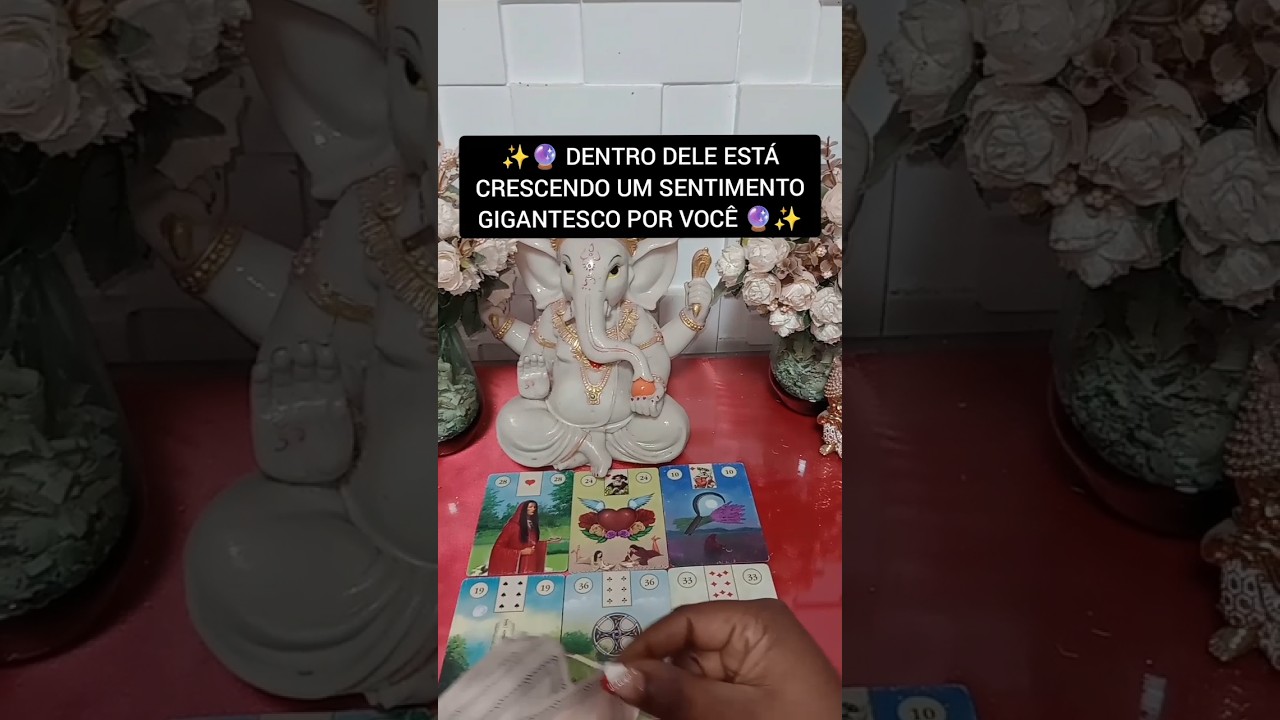Read more about the article Tarot do amor responde