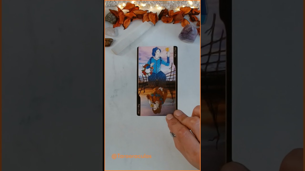 Read more about the article Energia do Dia! – Tarot e Oráculos – 18.08 – Deixe a espiritualidade falar com voce! #shorts 🔮