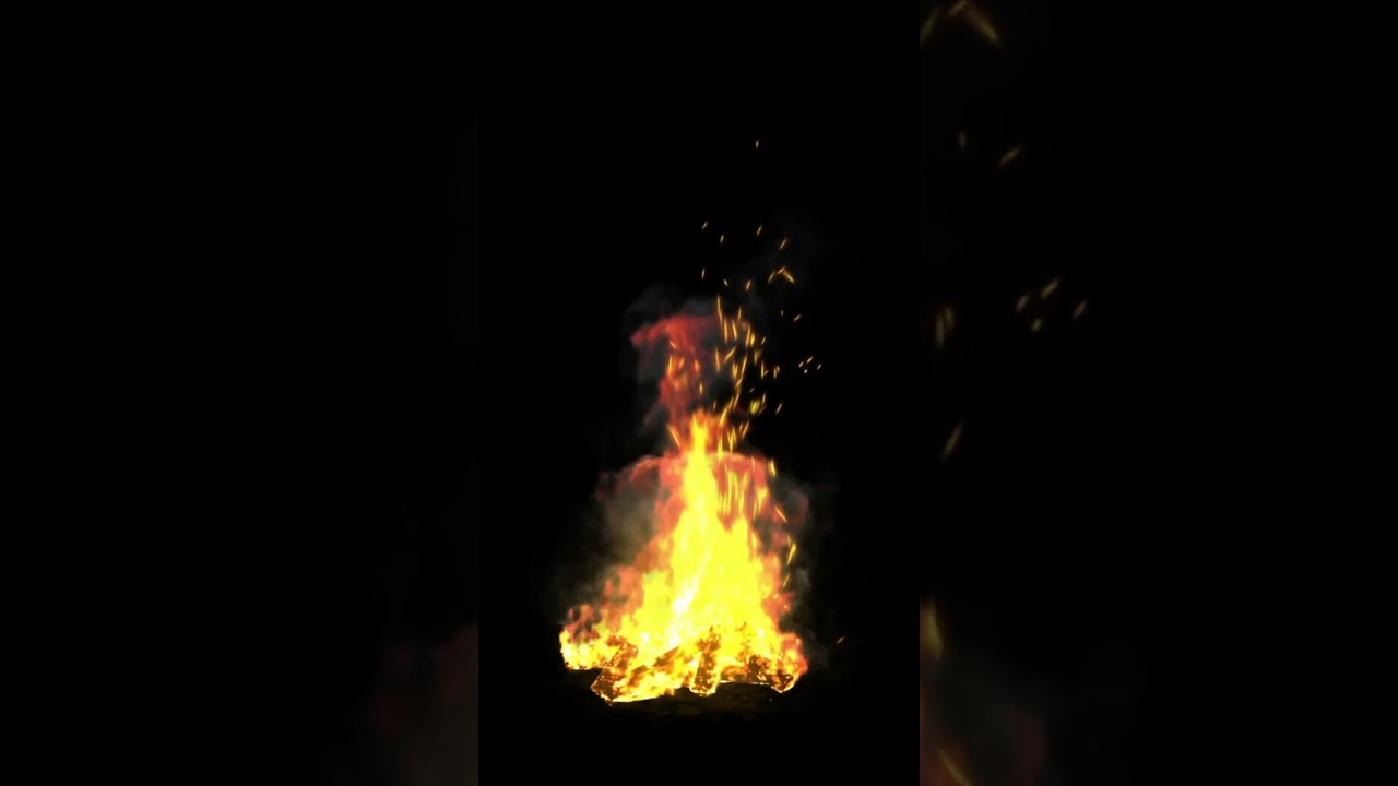 Read more about the article QUEIME FOLHAS DE LOURO EM CASA PARA DINHEIRO #simpatias #simpatia