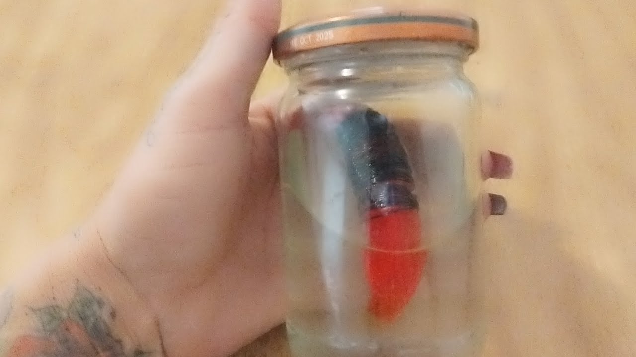 Read more about the article SIMPATIA PARA VIZINHO IR EMBORA #simpatias #rituais #magias #vizinhança