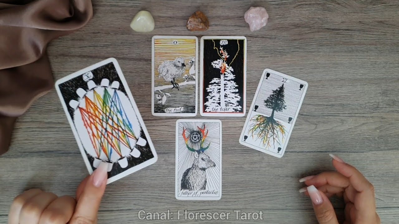 Read more about the article 🔴 ELE(A) ESTÁ EM BUSCA DE UM OUTRO AMOR? | Tarot Responde