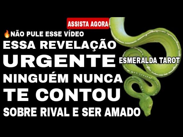 Read more about the article 🔴 ESSA REVELAÇÃO URGENTE NINGUÉM NUNCA TE CONTOU SOBRE RIVAL E SER AMADO