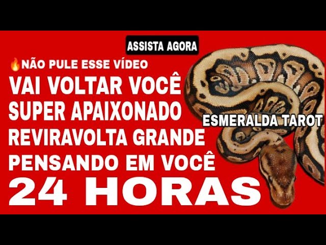 Read more about the article 🔴 HORA DA FOFOCA : VOCÊ VAI RECEBER UM GRANDE ESCLARECIMENTO AGORA SOBRE RIVAL E SER AMADO HOJE