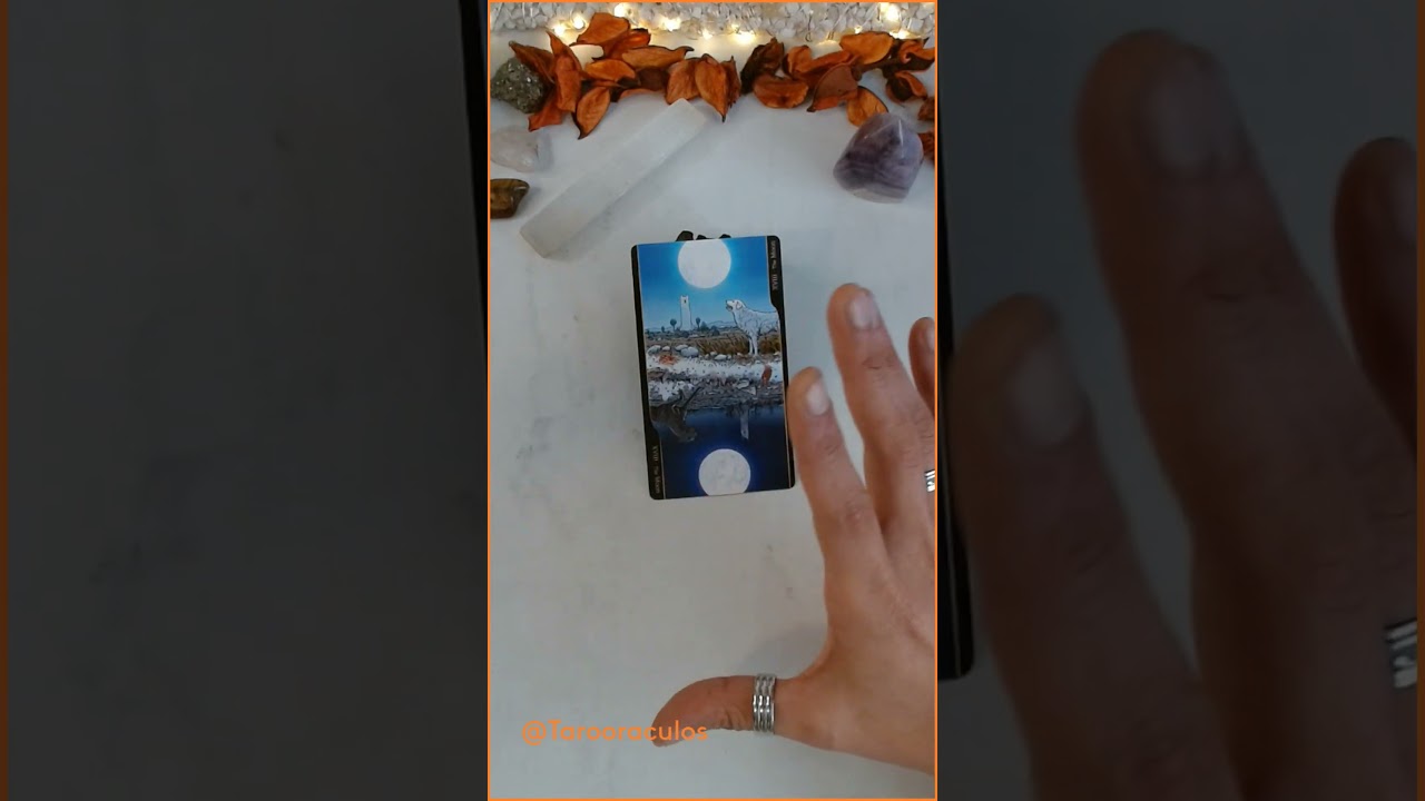 Read more about the article Energia do Dia! – Tarot e Oráculos – 01.09 – Deixe a espiritualidade falar com voce! #shorts 🔮