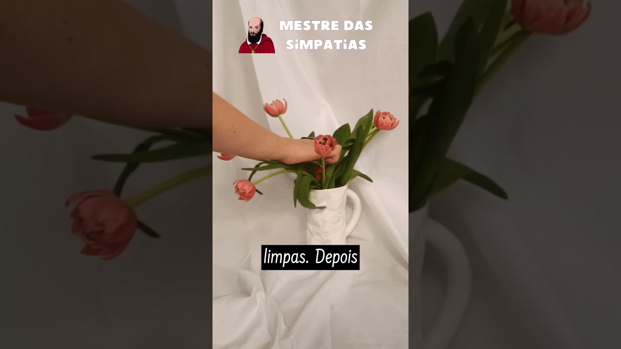 Read more about the article Simpatia das moedas – vela amarela e flores brancas para trazer prosperidade #simpatia #simpatias