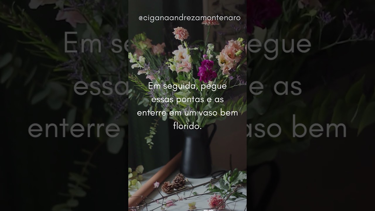 Read more about the article Simpatia para crescer cabelo: faça durante a lua crescente! #simpatia #crescercabelo