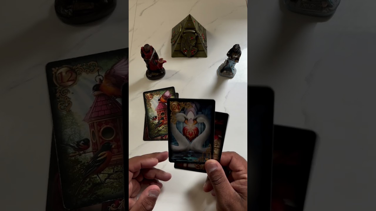 Read more about the article O que você está planejando vai dar certo? #tarot #tarotamor #tarotdehoje #tarotrevela #tarodoamor