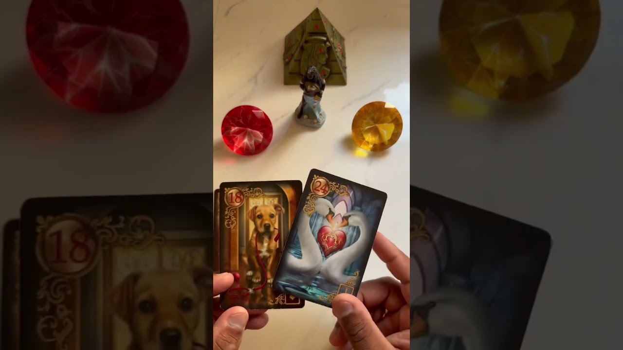 Read more about the article Iemanjá revela! | Tarot de hoje #tarot #shorts #tarotresponde #tarotonline