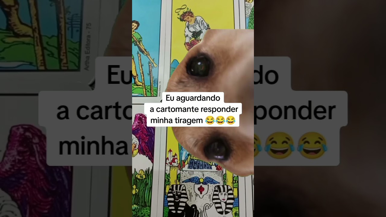Read more about the article EU AGUARDANDO A CARTOMANTE RESPONDER MINHA TIRAGEM 😂 #tarot #meme