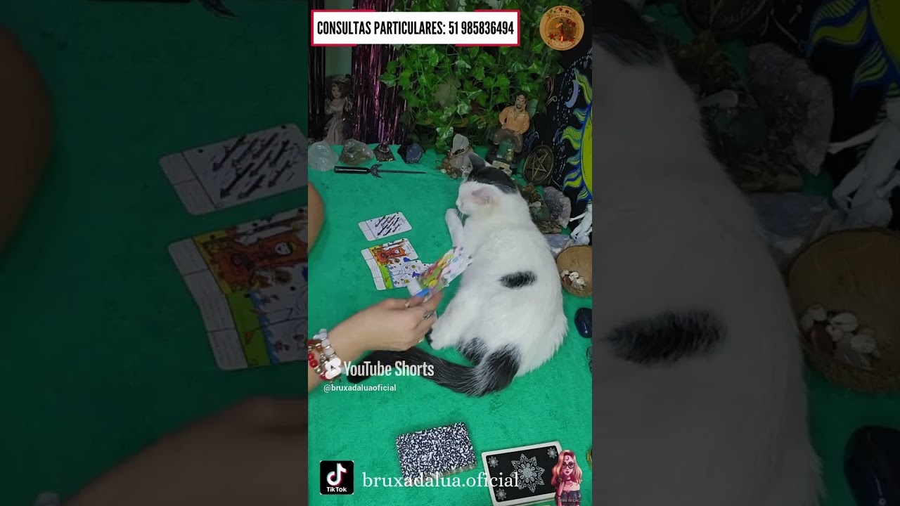 Read more about the article 🚀O que ele(a) PENSA sobre você neste EXATO MOMENTO?