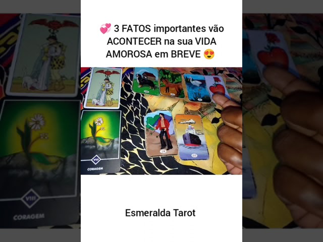 Read more about the article TAROT ECONÔMICO #tarot #tarotreading #fy #fyp #tarot #baralhocigano #tarothoje #tarotresponde #taro