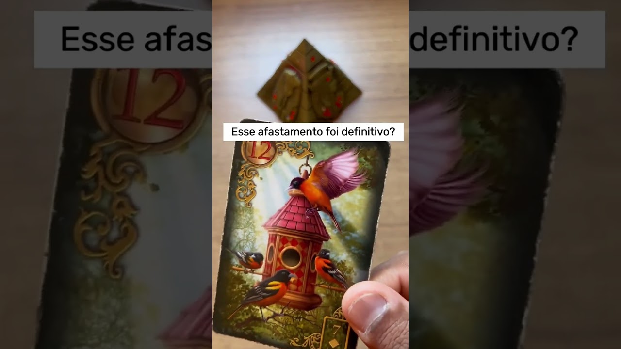 Read more about the article #tarot #tarô #cartomante #tarotcards #tarotreader #amor #tarotreading #tarotdehoje #tarotresponde