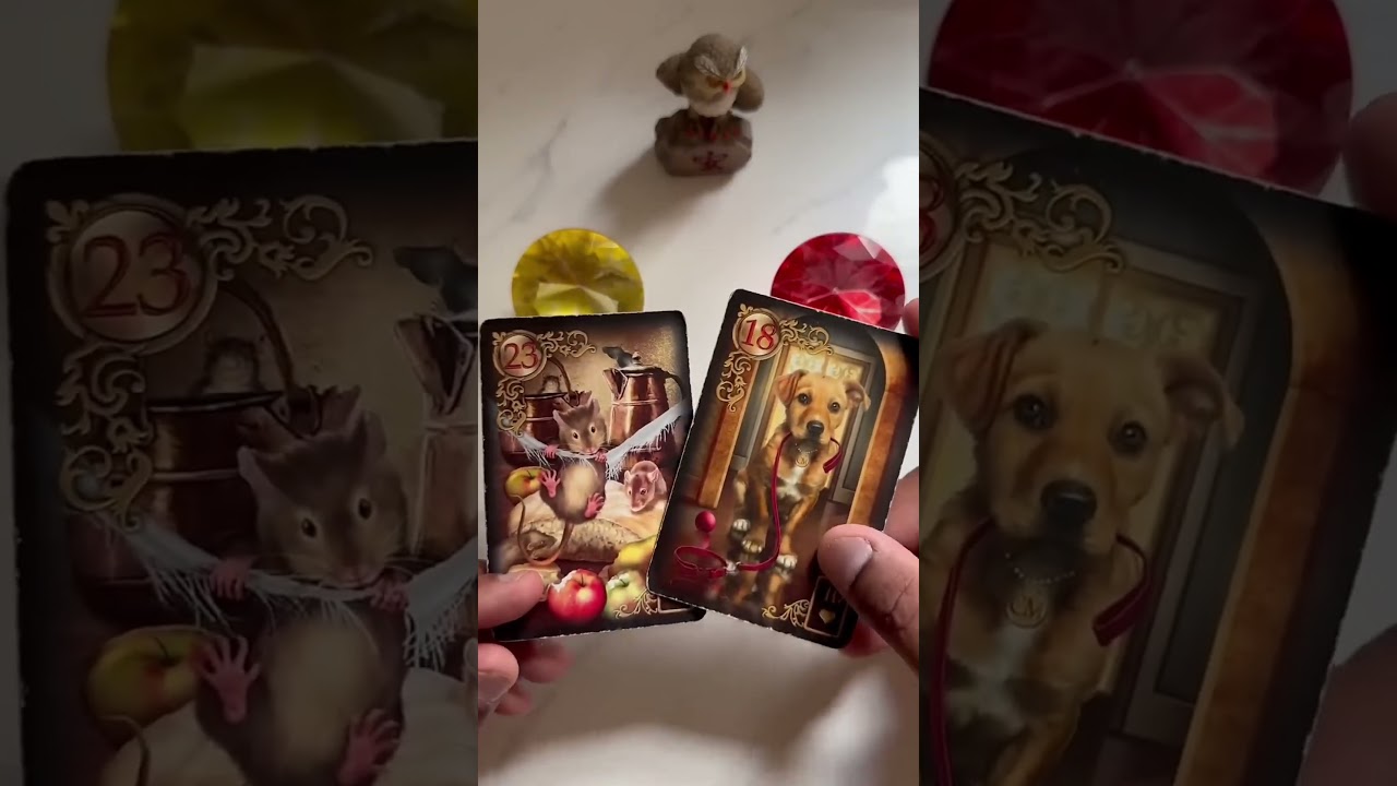 Read more about the article Essa pessoa veio pra ficar? | Tarot do Amor ❤️ #tarot #tarô #taro #tarotdehoje