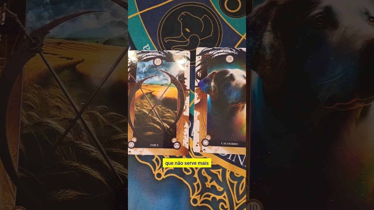 Read more about the article MENSAGEM DO BARALHO CIGANO PARA O DIA 3/05 #baralhociganogratis #tarot #baralho #ciganos #tarologo